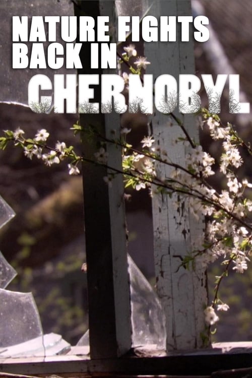 Nature Fights Back In Chernobyl