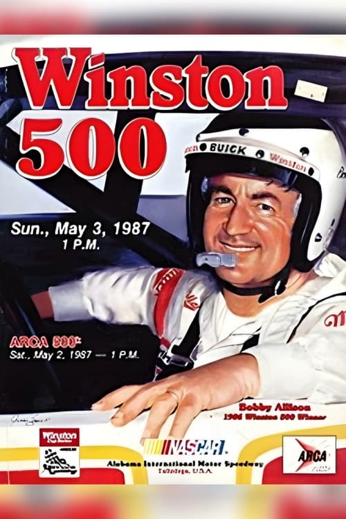 1987 Winston 500