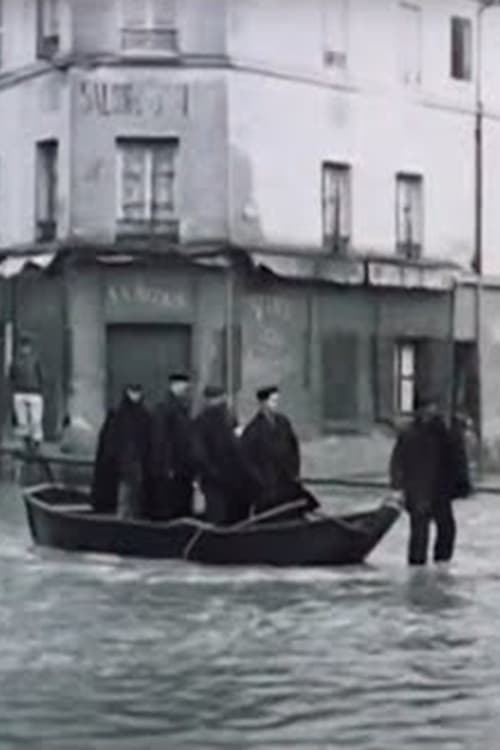 The Seine Flood