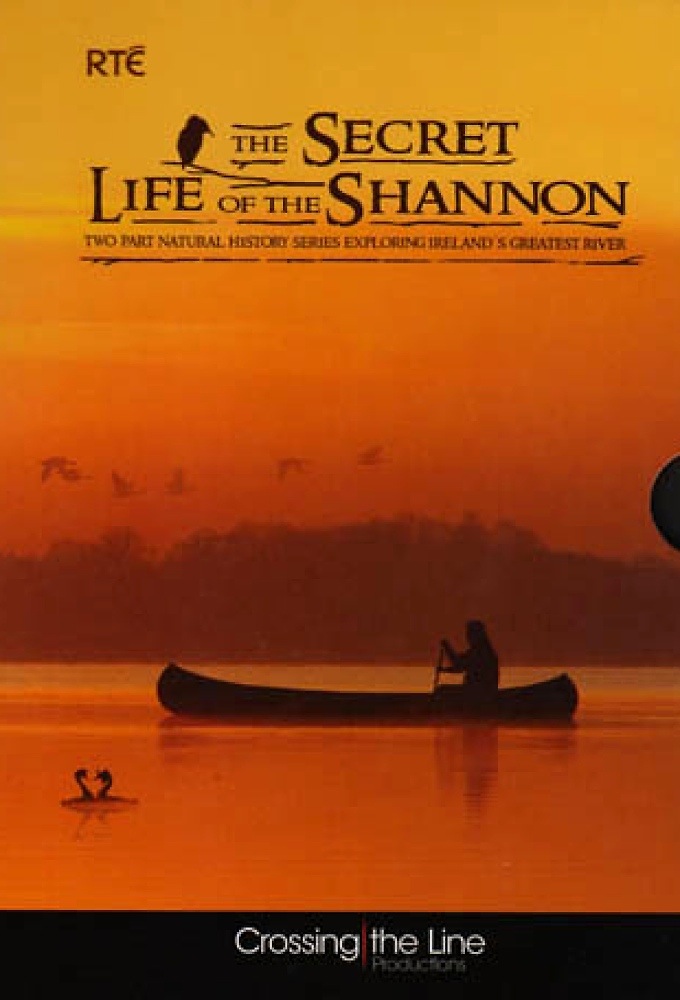 The Secret Life of the Shannon