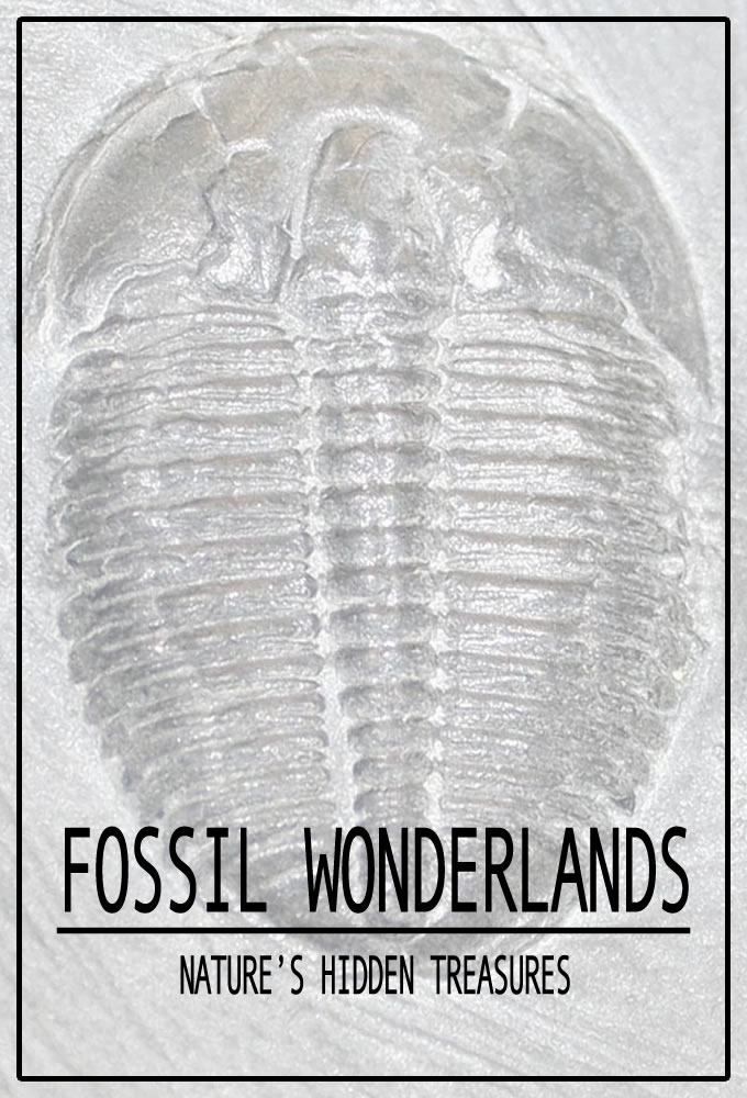 Fossil Wonderlands: Natures Hidden Treasures