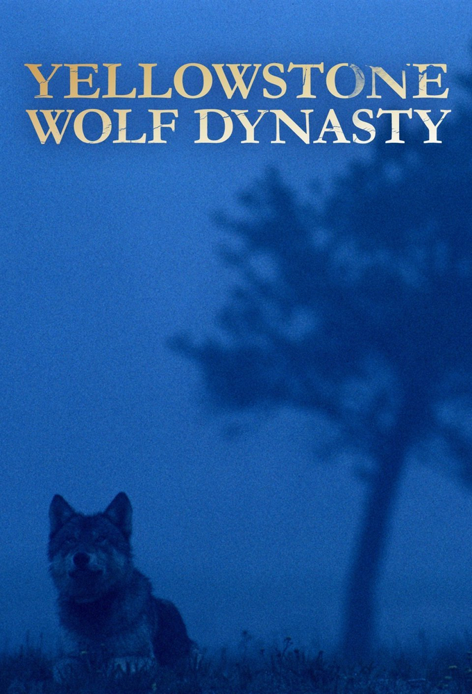 Yellowstone Wolf Dynasty