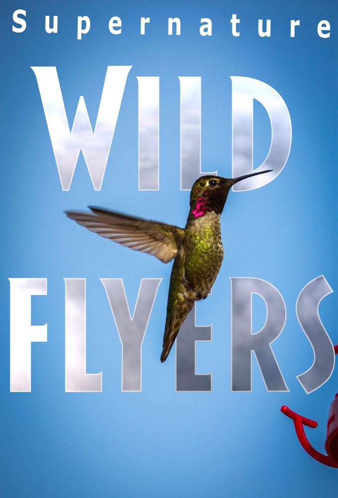SuperNature - Wild Flyers